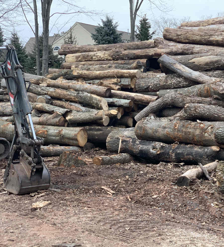 Large pile of logs stacked together
