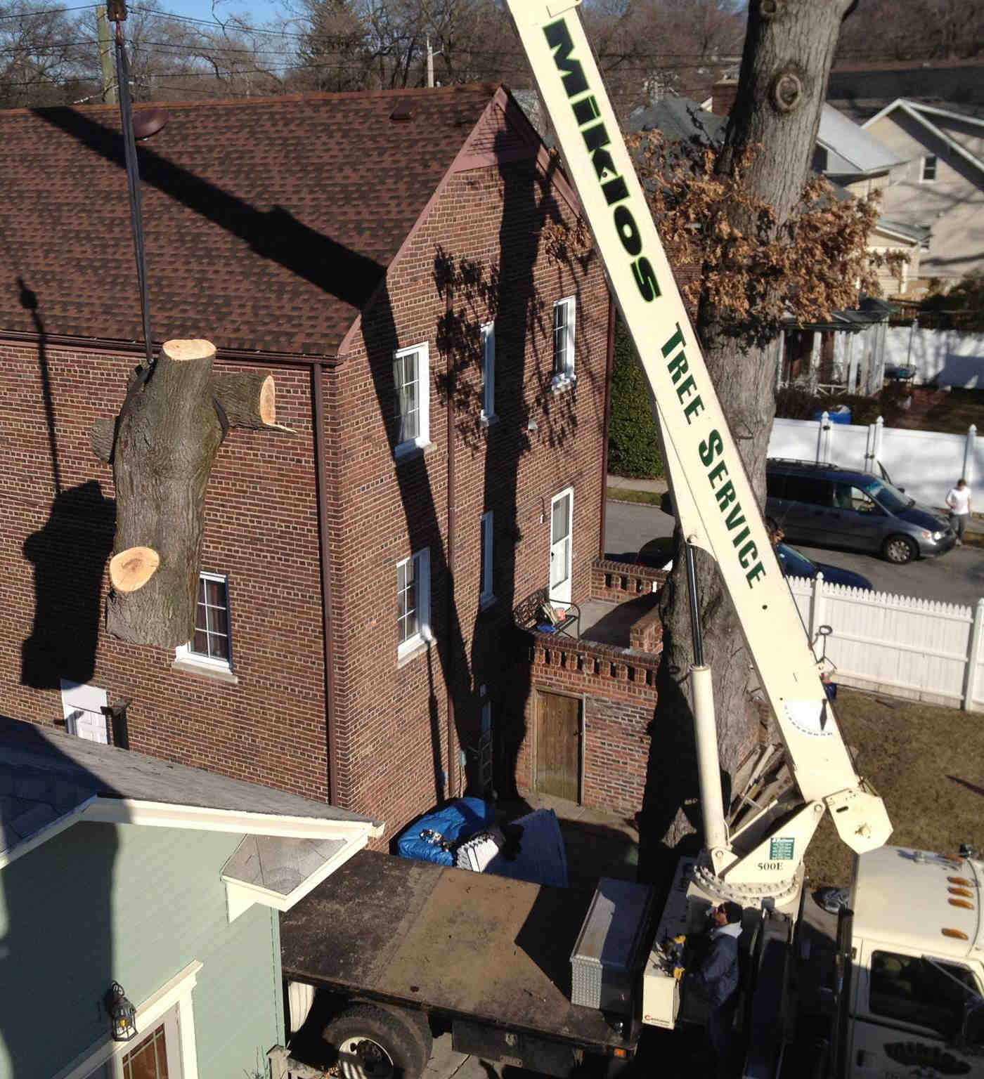 Tree removal with crane in somerset, new brunswick and princeton new jersey